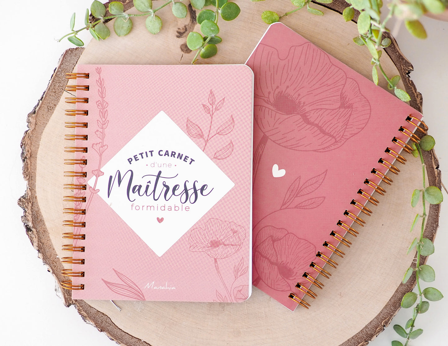 Carnet maîtresse - Petit carnet d'une maîtresse formidable