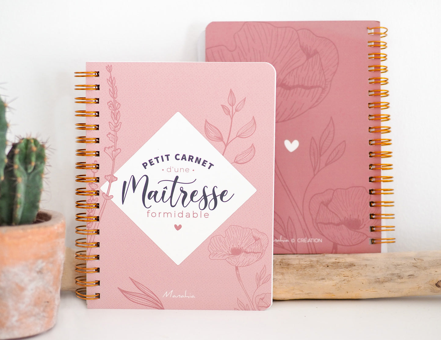 Carnet maîtresse - Petit carnet d'une maîtresse formidable