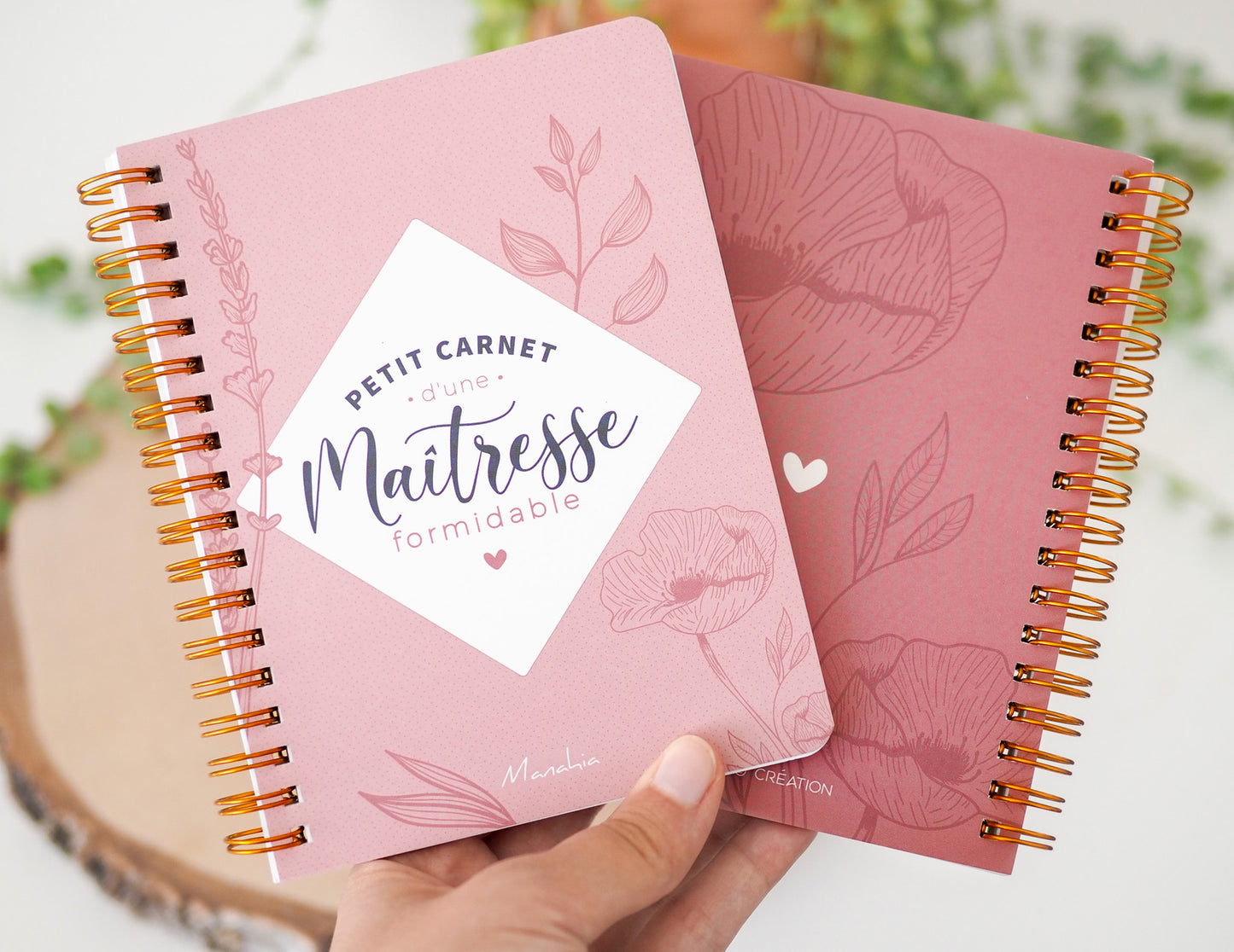 Carnet maîtresse - Petit carnet d'une maîtresse formidable