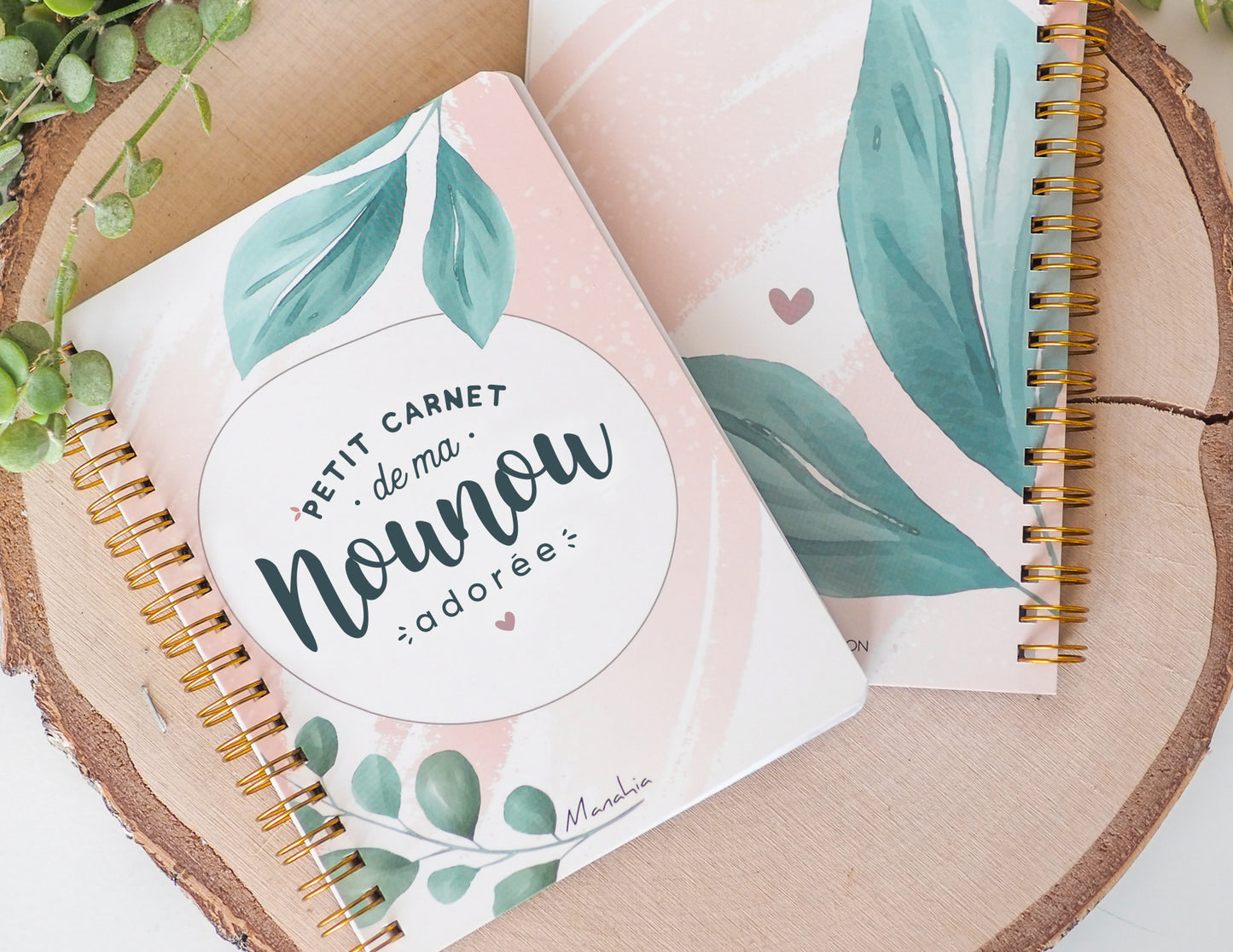 Carnet nounou - Petit carnet de ma nounou adorée