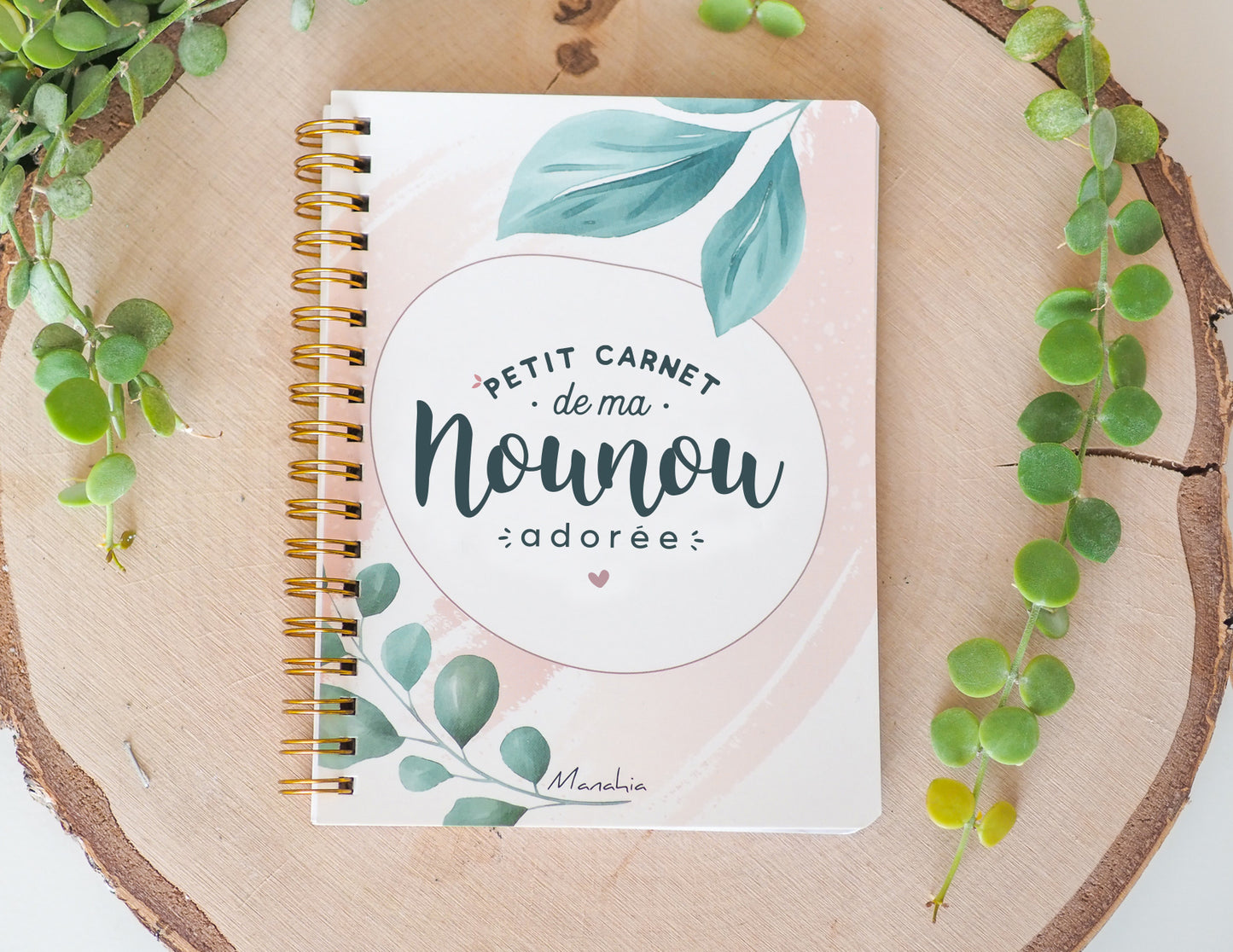 Carnet nounou - Petit carnet de ma nounou adorée