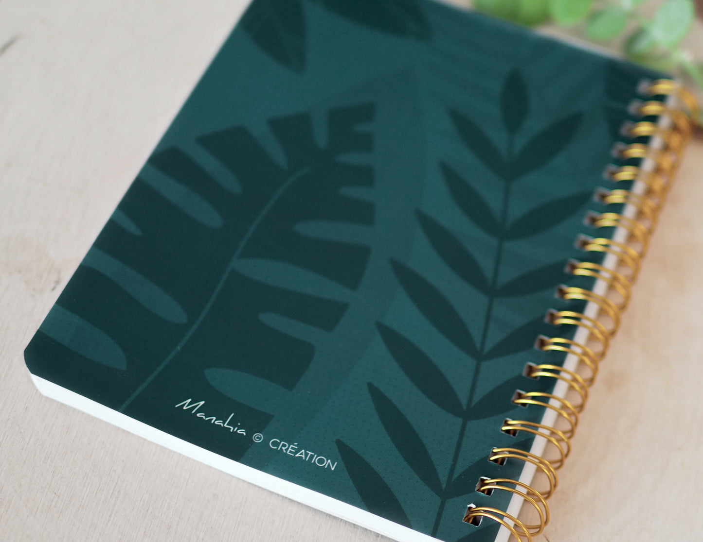 Carnet papa - Papounet d'amour