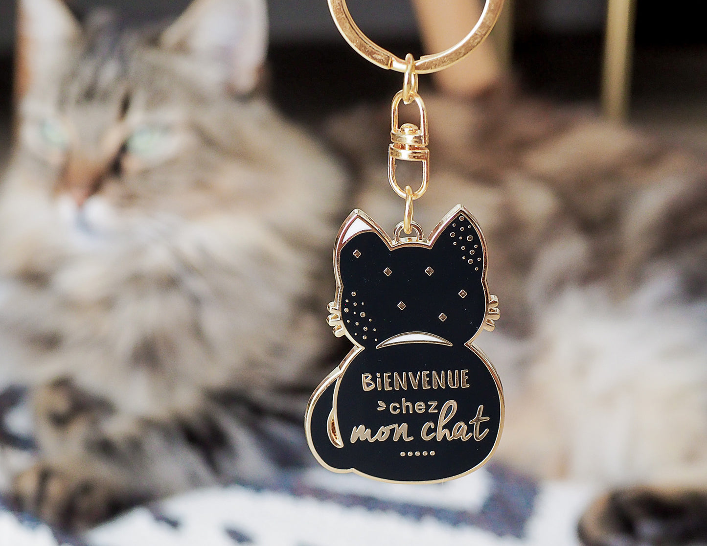 Porte-clés - Chat - Bienvenue chez mon chat