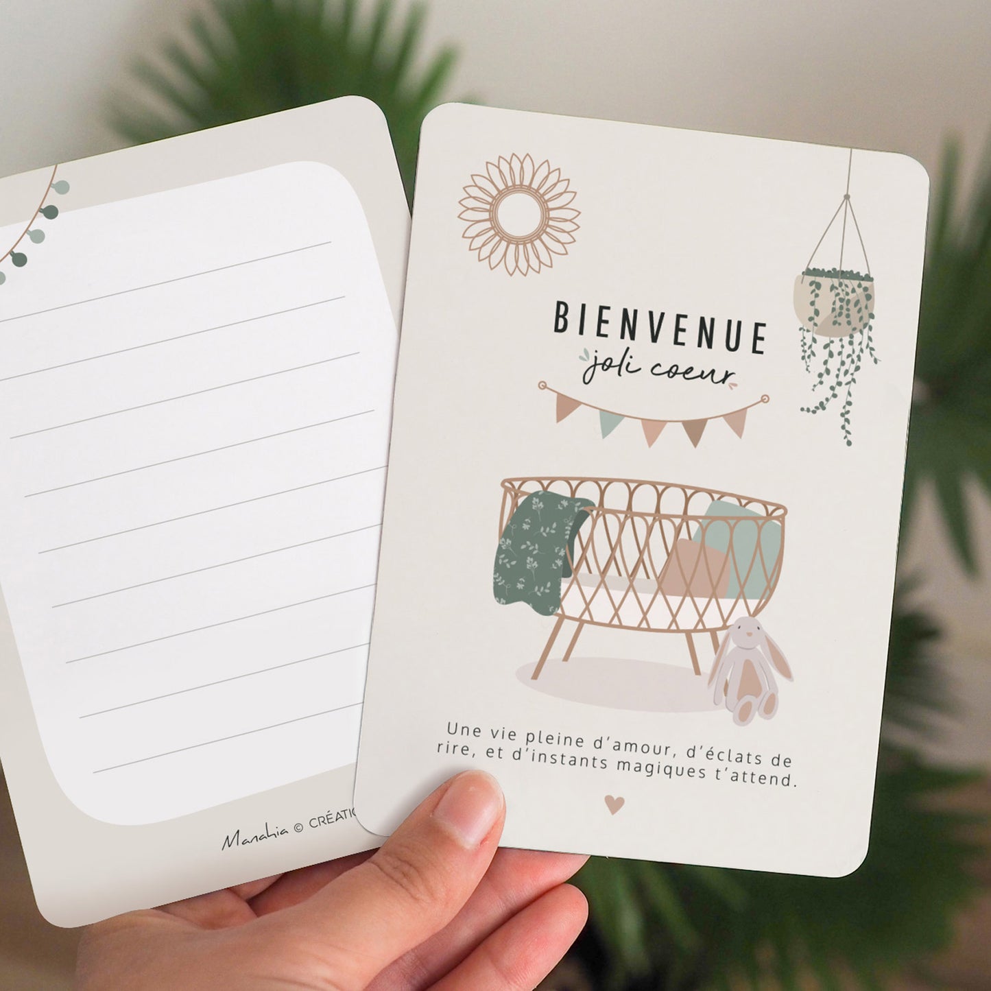 Coffret naissance bébé – Petit doudou mouton tout doux + 20 cartes étapes + 1 carte "Bienvenue joli coeur"