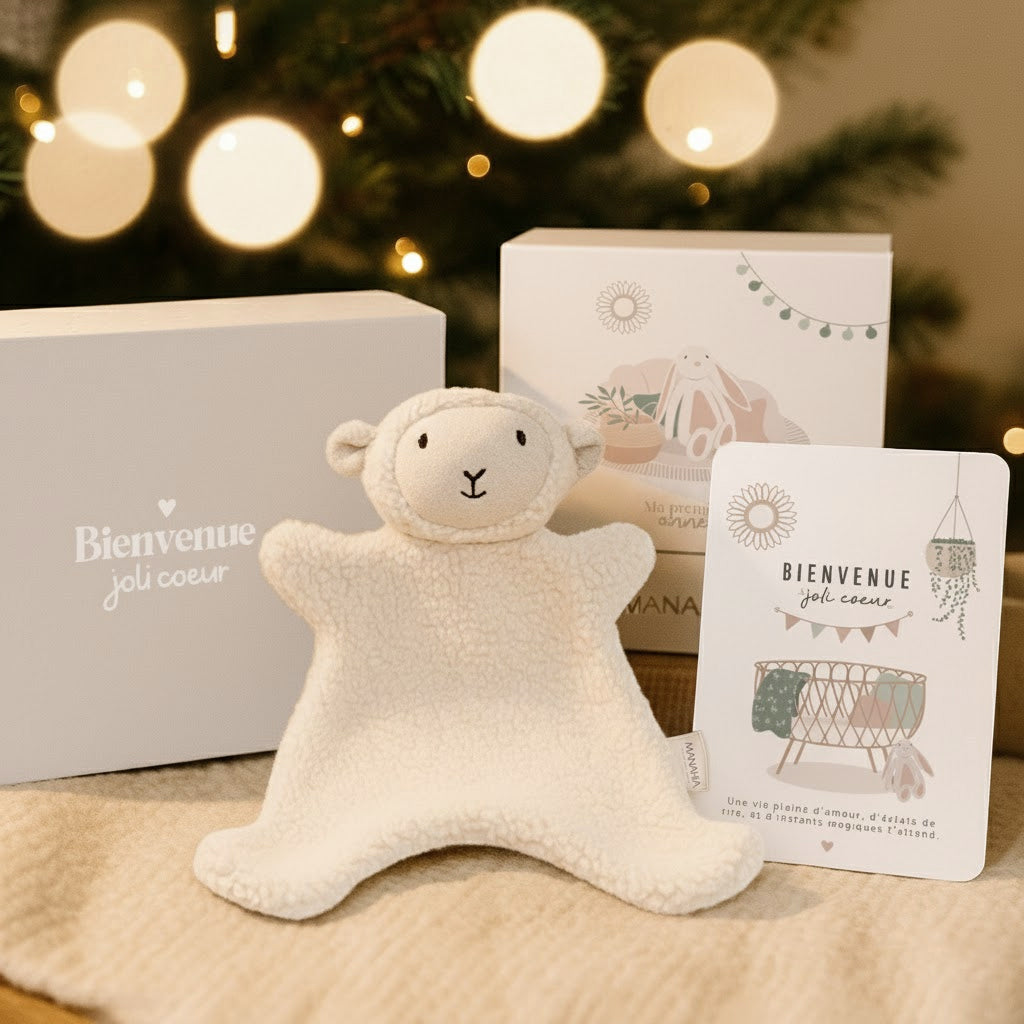 Coffret naissance bébé – Petit doudou mouton tout doux + 20 cartes étapes + 1 carte "Bienvenue joli coeur"