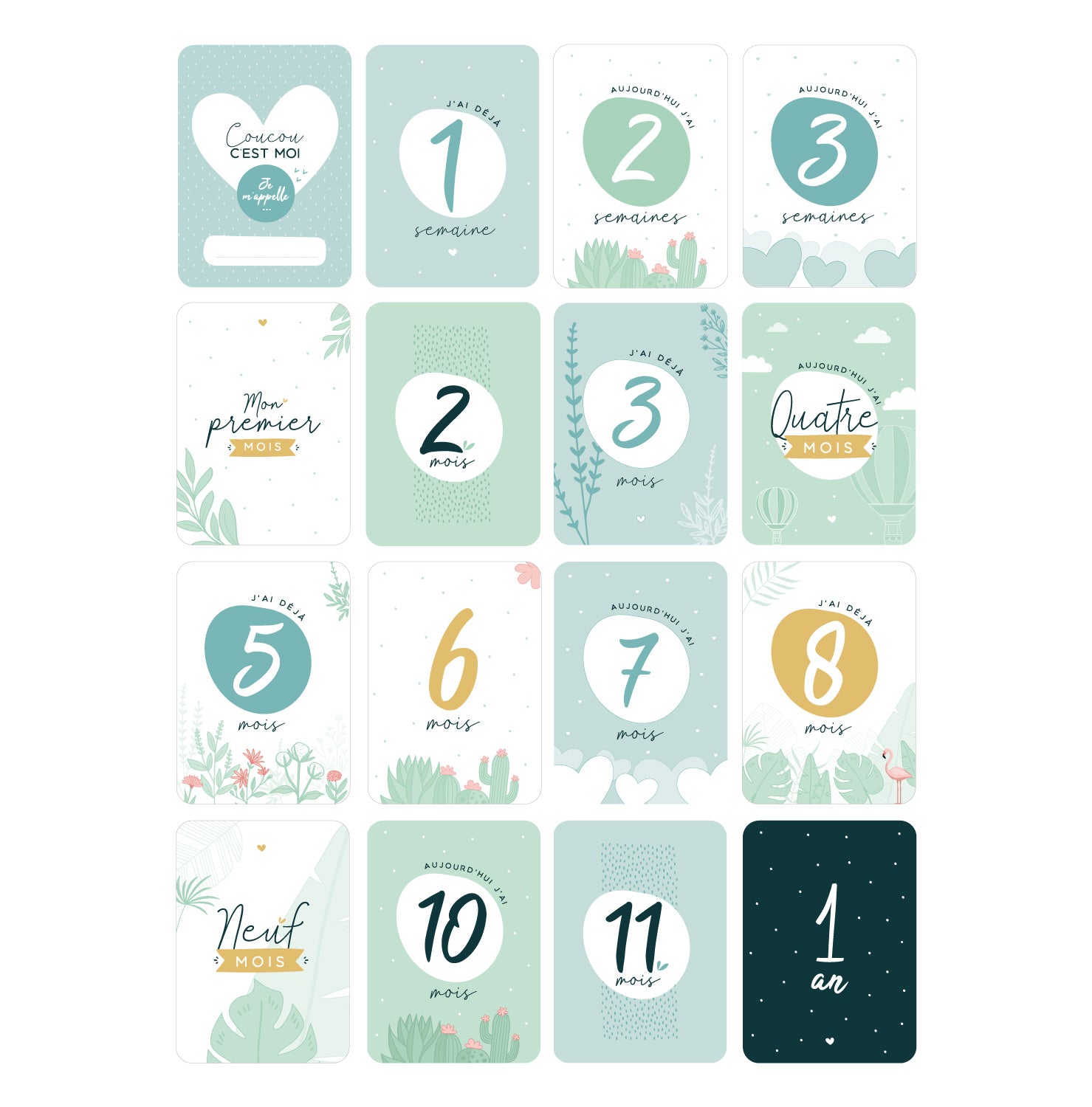Cartes étapes naissance bébé garçon, 16 cartes de la naissance à 1 an –  Manahia